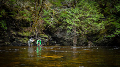 Two men wading and fishing in a shallow river beneath a steep mossy forest bank