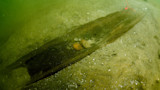 Submerged dugout canoe on sandy lake bottom with rocks and a red float