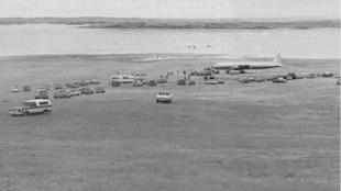 Beached cargo plane on shoreline surrounded by parked trucks, vans and small groups of people