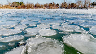 River with round ice pancakes floating across the surface and snowy shoreline