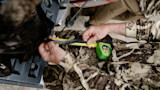 Hunter measuring a turkey beard with a green tape measure while wearing camouflage clothing
