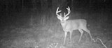 5 Smart Options For Hunting the “October Lull”