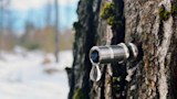 Maple tree tap with metal spile and a droplet of maple sap hanging from bark