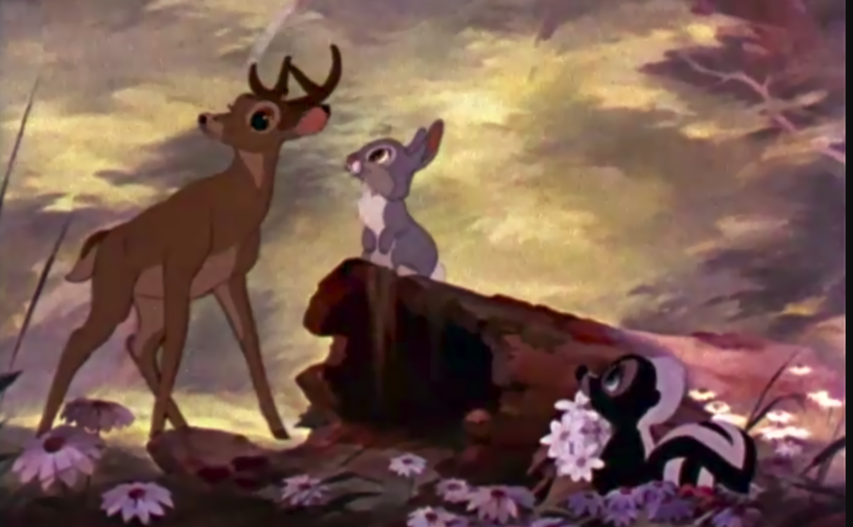 Poaching and Bambi: Does the Punishment Fit the Crime?