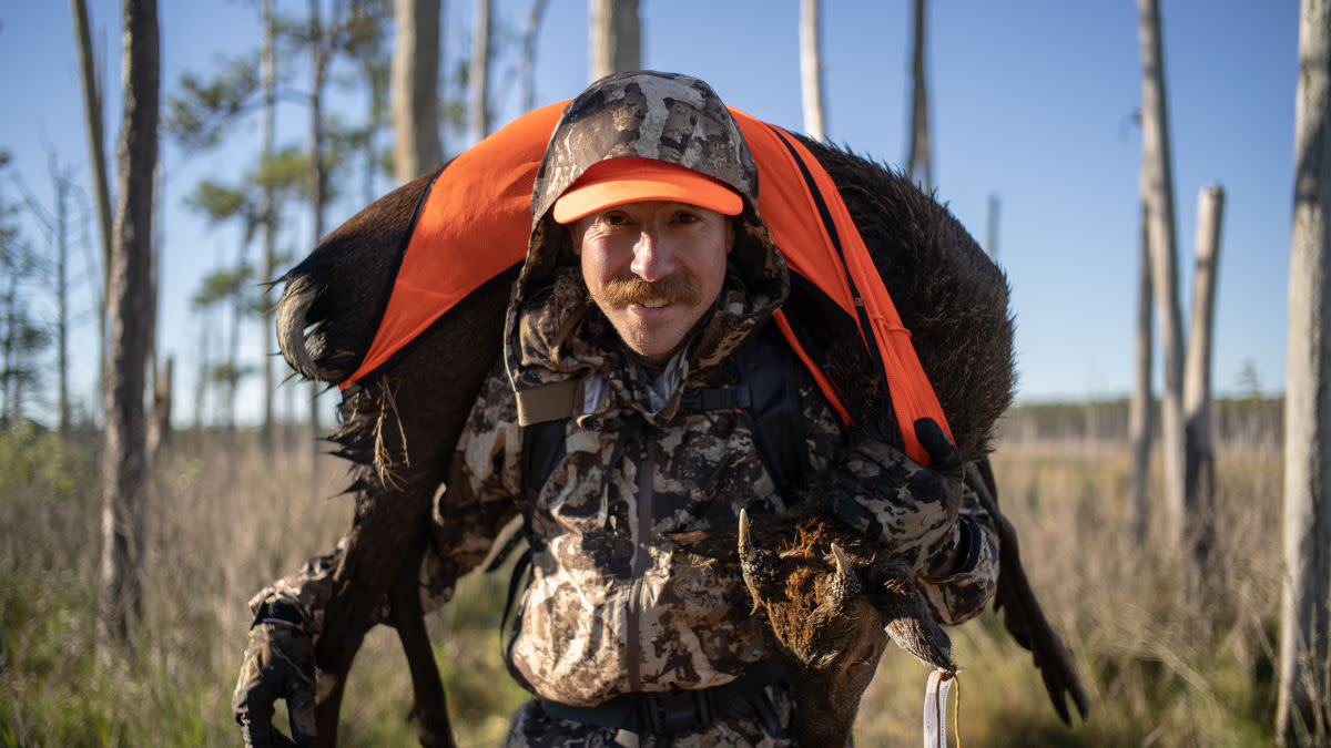 Hunter carrying moose over his shoulders wearing camouflage and an orange cap