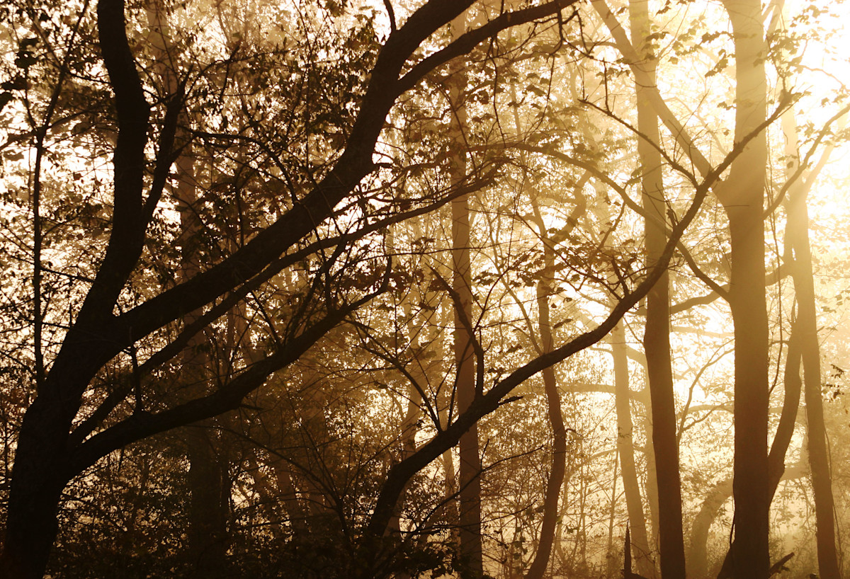 How You Can Help Reauthorize the Land and Water Conservation Fund Right Now