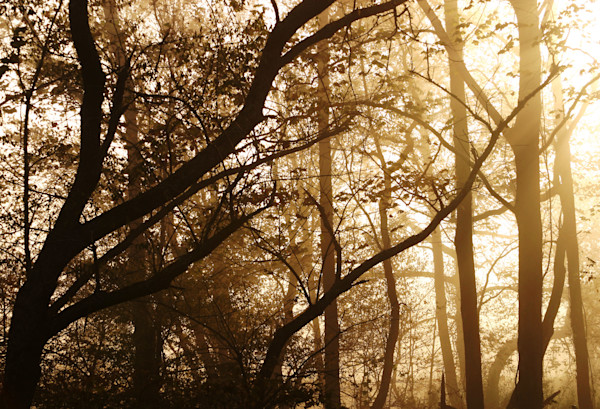 How You Can Help Reauthorize the Land and Water Conservation Fund Right Now