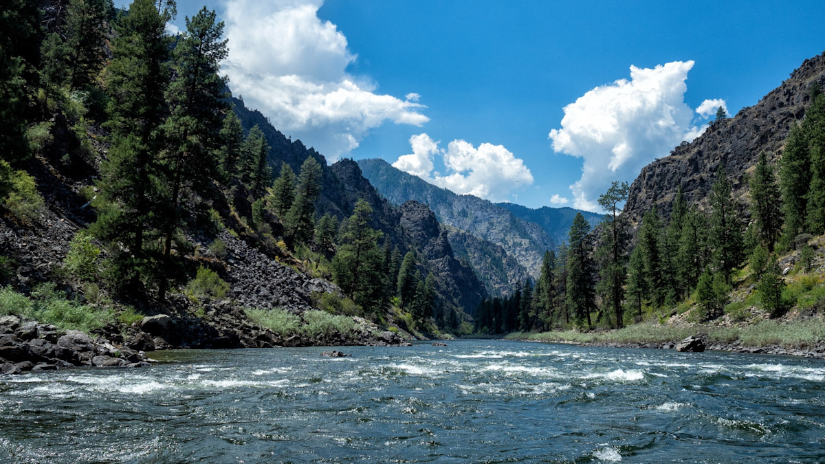 Forest Service Approves Mine In Salmon River Headwaters