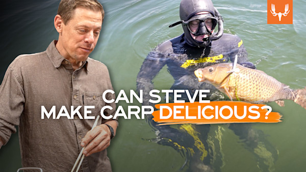 MEHQ_StevesCarp_03.jpg