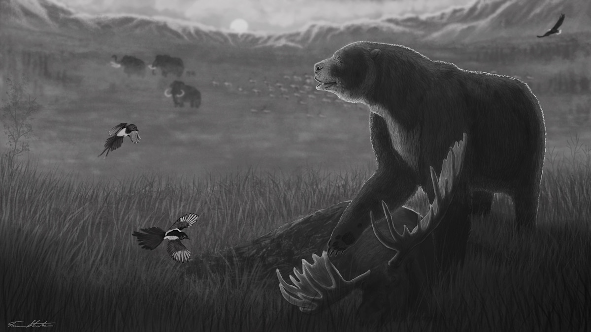 Extinct Bears of North America