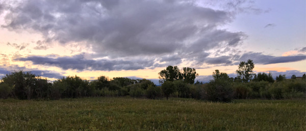 A “Letter” All Hunters Should Read