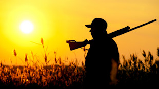 Hunter silhouetted at sunset carrying shotgun over shoulder in tall grass