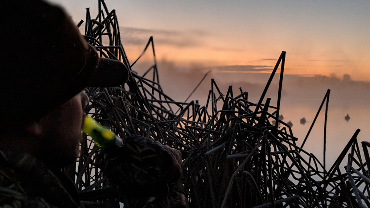 A Primer on Waterfowl Regulations