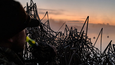 Hunter in camouflage using a bright duck call amid marsh reeds with decoys at misty sunrise