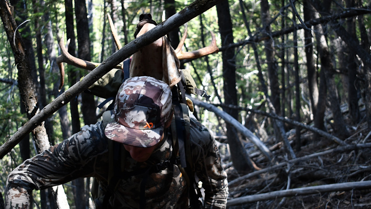 What Happens If Nonresident License Prices Keep Climbing?