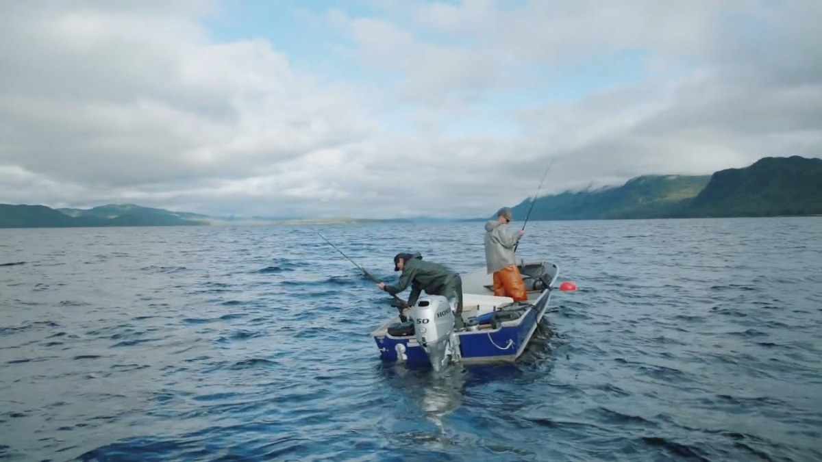 Alaska Fish: Exploring the Waters of Southeast Alaska