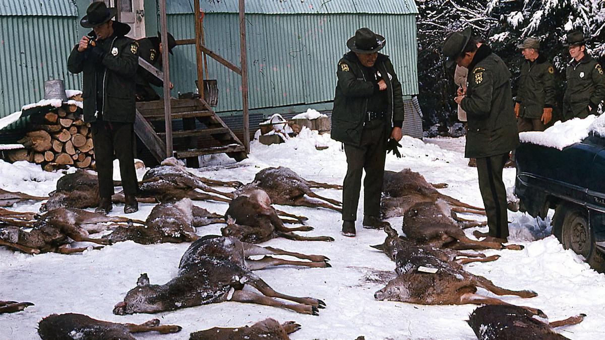 Vermont’s Invisible Law: Hunters Can Sell Venison