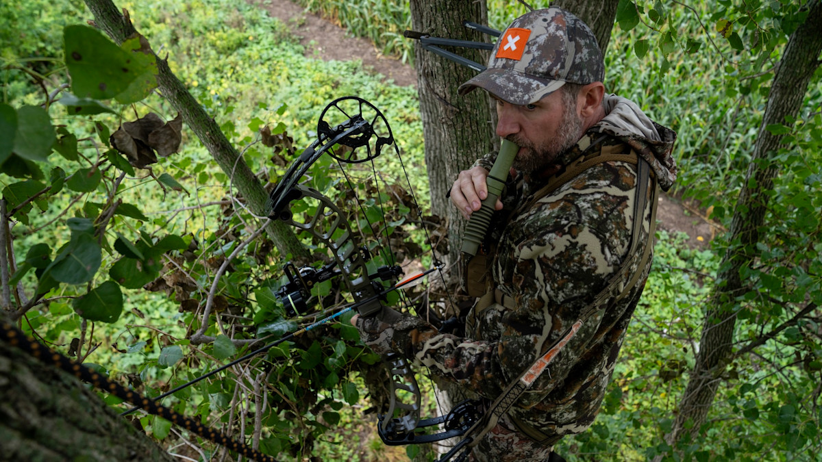 How to Call in Early Season Bucks