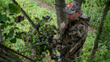 How to Call in Early Season Bucks