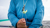 Angler on boat gripping split fly line with bright chartreuse streamer fly