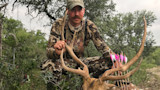 Hunter with large antlers and pink-fletched arrows, kneeling in camouflage