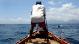 Man on bow of wooden boat holding ropes, dolphin fin visible in nearby water