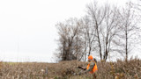 Hunter in orange beanie and vest sitting beside a buck with antlers in tall dry grass