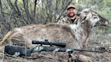 New Mexico Hunter Harvests Extremely Rare Piebald Elk