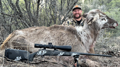 Hunter kneeling behind dead mountain sheep; scoped bolt-action rifle in foreground, brush