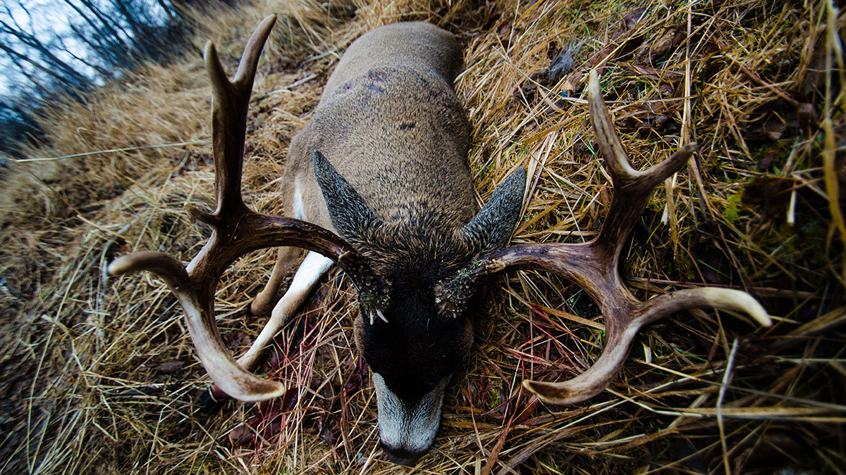 Kodiak December: A Hunt and a Blacktail of a Lifetime