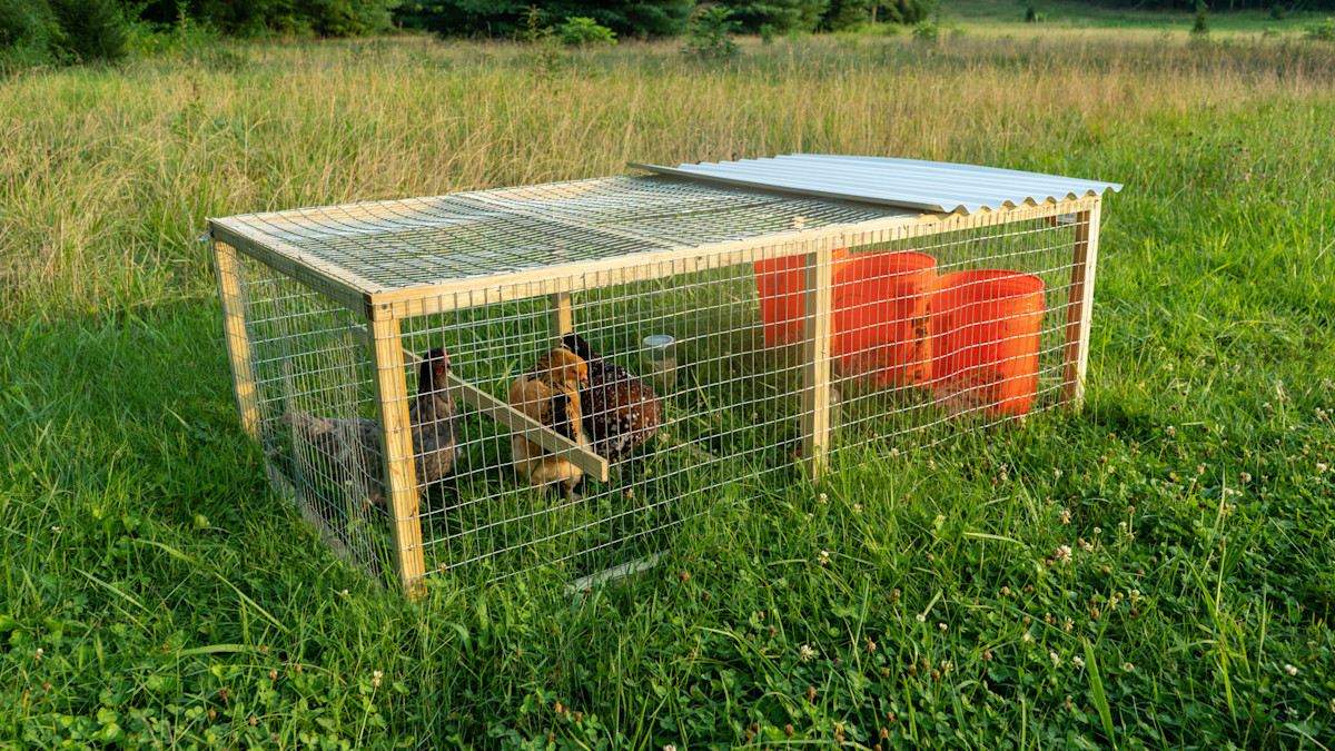 Photos: How to Build a Mobile Chicken Coop