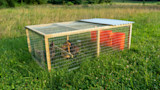 Photos: How to Build a Mobile Chicken Coop