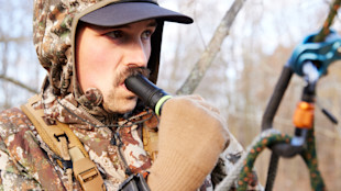 Hunter in camouflage hoodie and cap blowing a mouth-operated deer call in woods