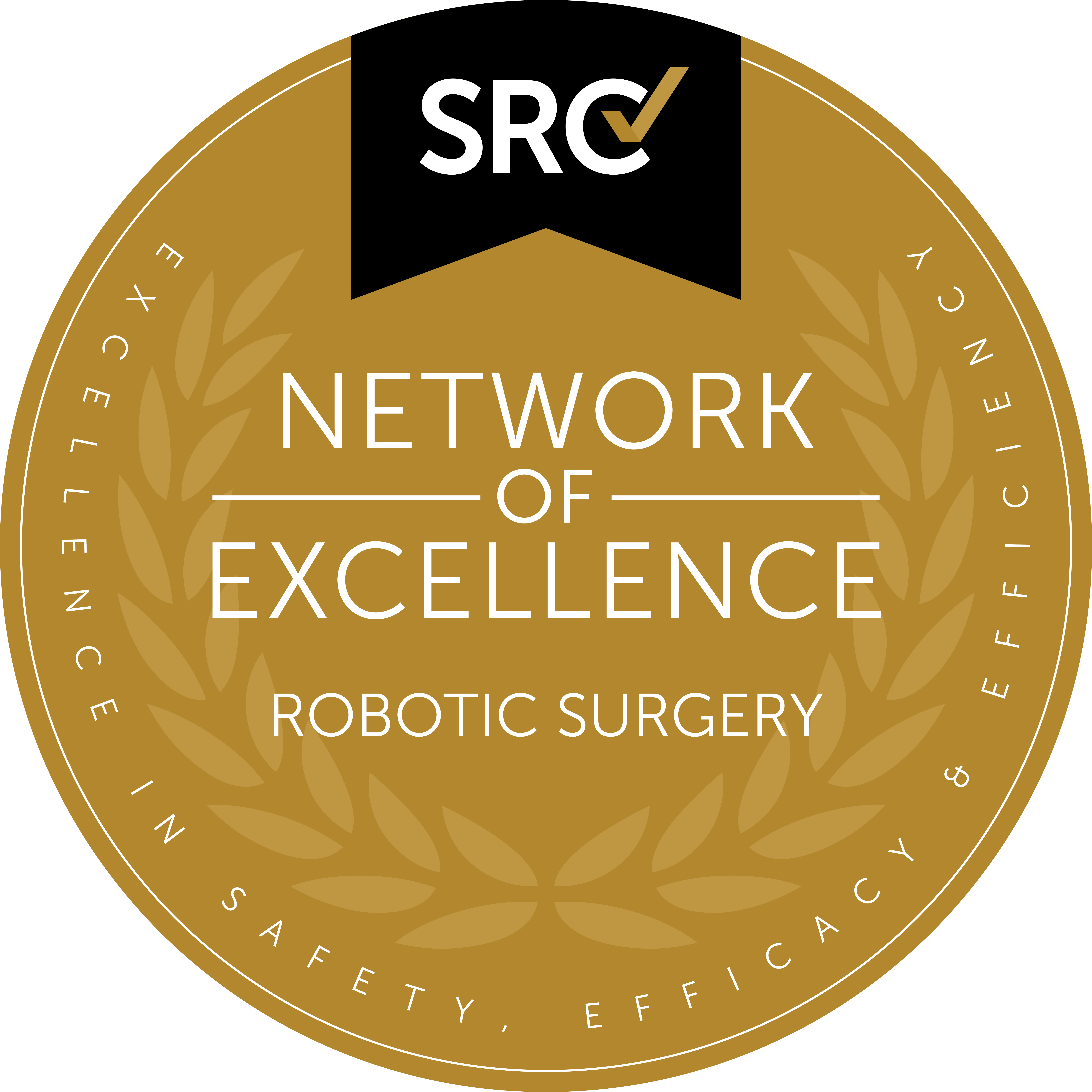 SRC Network of Excellence in Robotic Surgery logo
