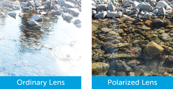 OPT-Lens-Image11-Polarized cropped