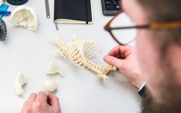 article-how-3d-printing-is-creating-lifelike-newborns-with-functioning-organs-to-help-doctors-save-lives-image-1.png