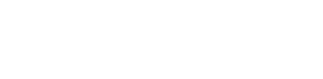Pal V