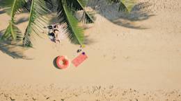 Above shot of beach, palm tree, woman, and doughnut bool toy.