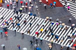 Tokyo cross walk.