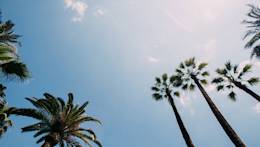 We’ve put together a list of the 12 best places to study abroad.