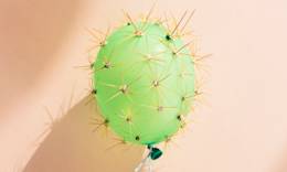 Un globo verde que tiene púas de cactus en él.