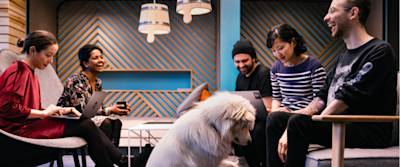 White dog and people sitting on a sofa and easy chairs in an N26 office lounge.