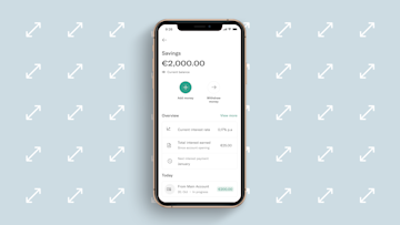 EasyFlex Savings Interface.