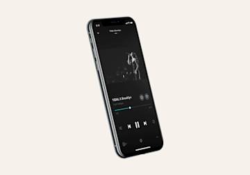Phone with the app Tidal on it.