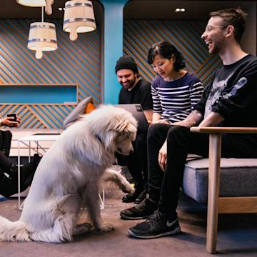 Drei N26-Mitarbeiter sitzen in einer Kutsche und ein schöner weißer Hund.