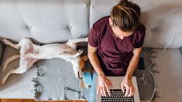 Man with dog working on a laptop.