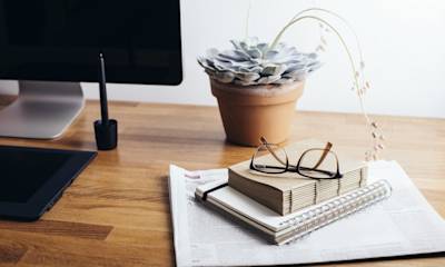 Une plante et des livres sur le bureau d'un auto-entrepreneur.
