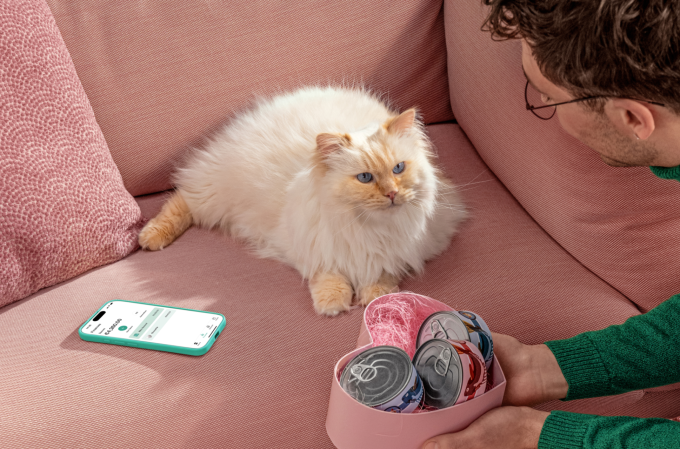 Eine Person mit einer Katze auf rosa Couch.