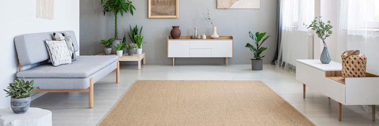 rug cleaning