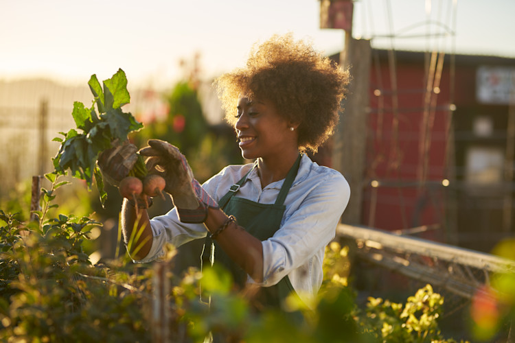 Woman gardening outside